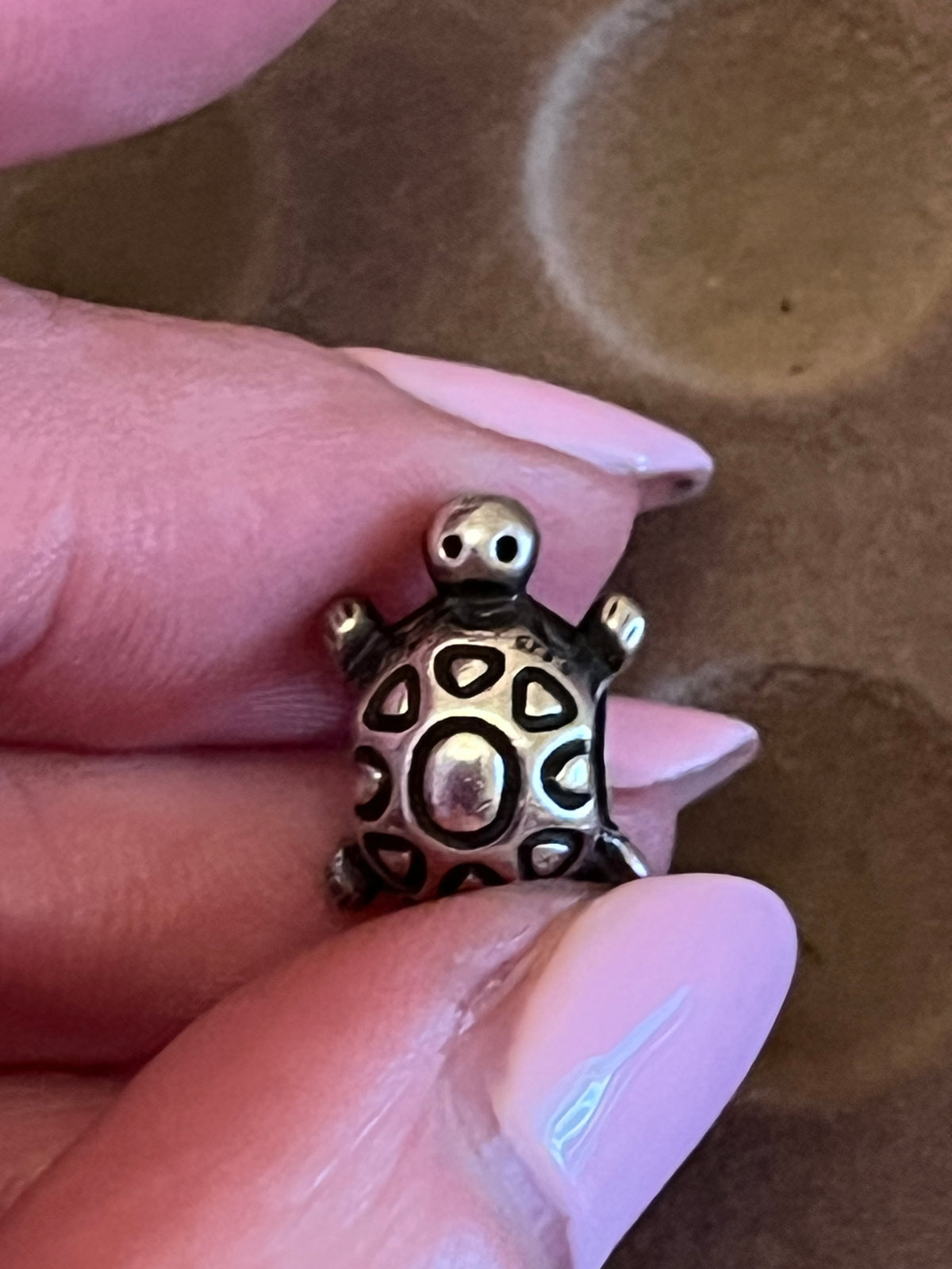 Pandora tortoise charm