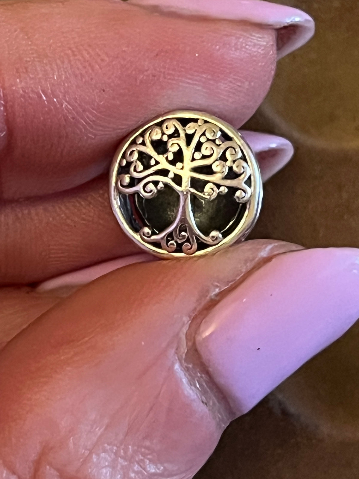 Pandora family roots charm
