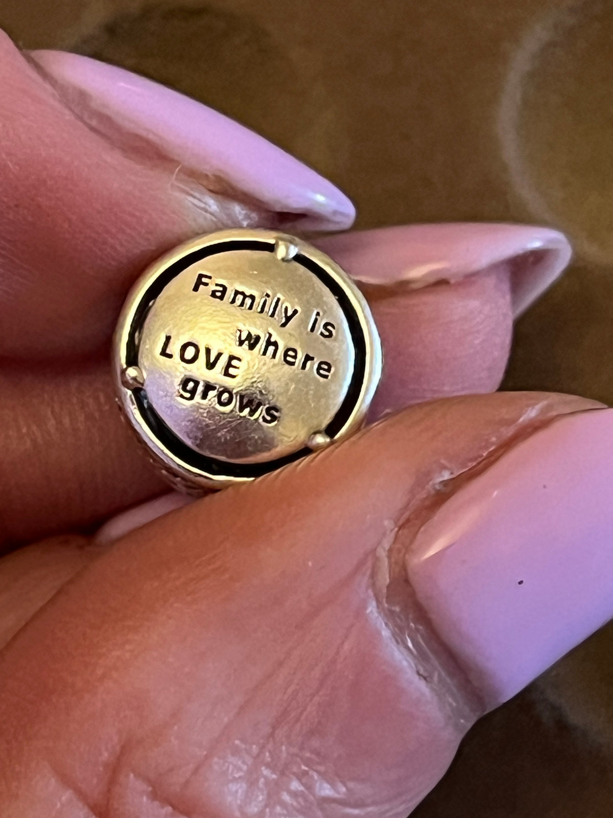Pandora family roots charm