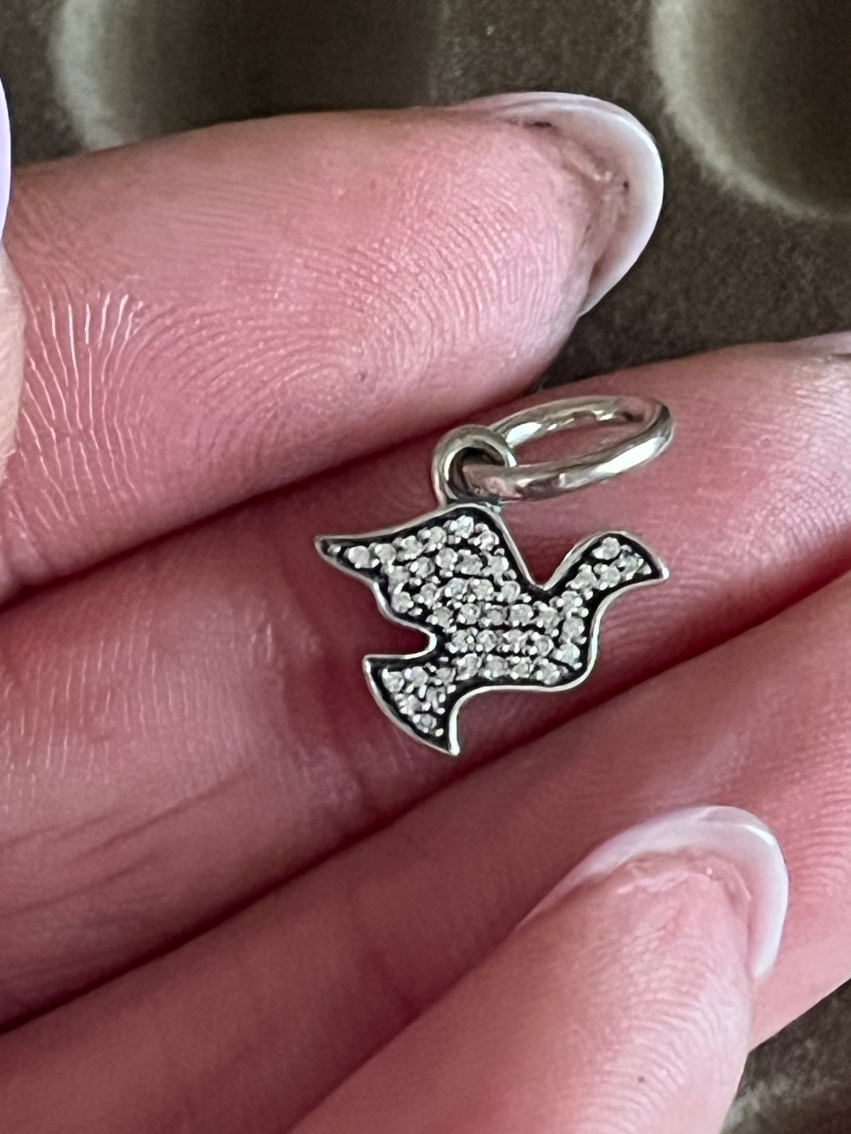 Pandora paved dove charm